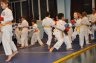 007 TELETHON 2009 Randori.JPG 